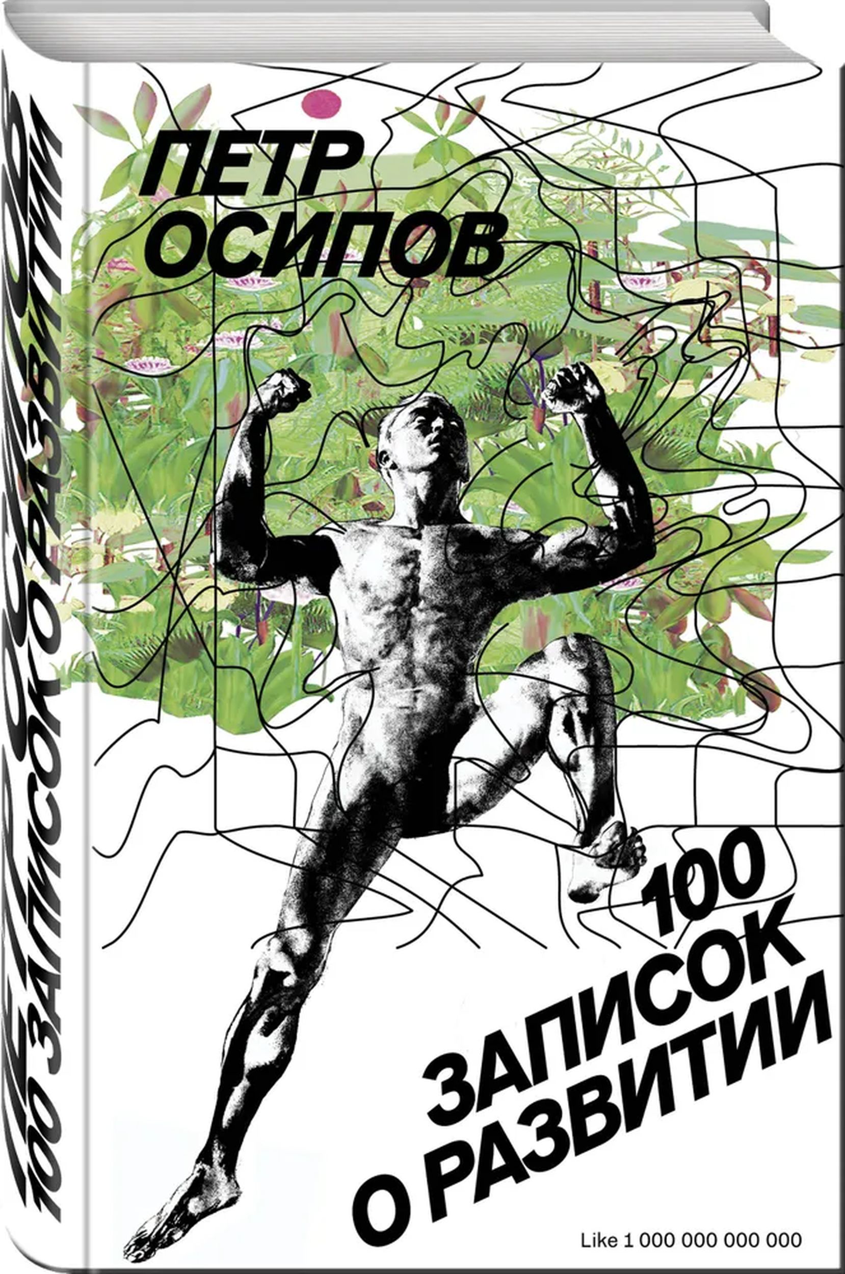 100 записок о развитии