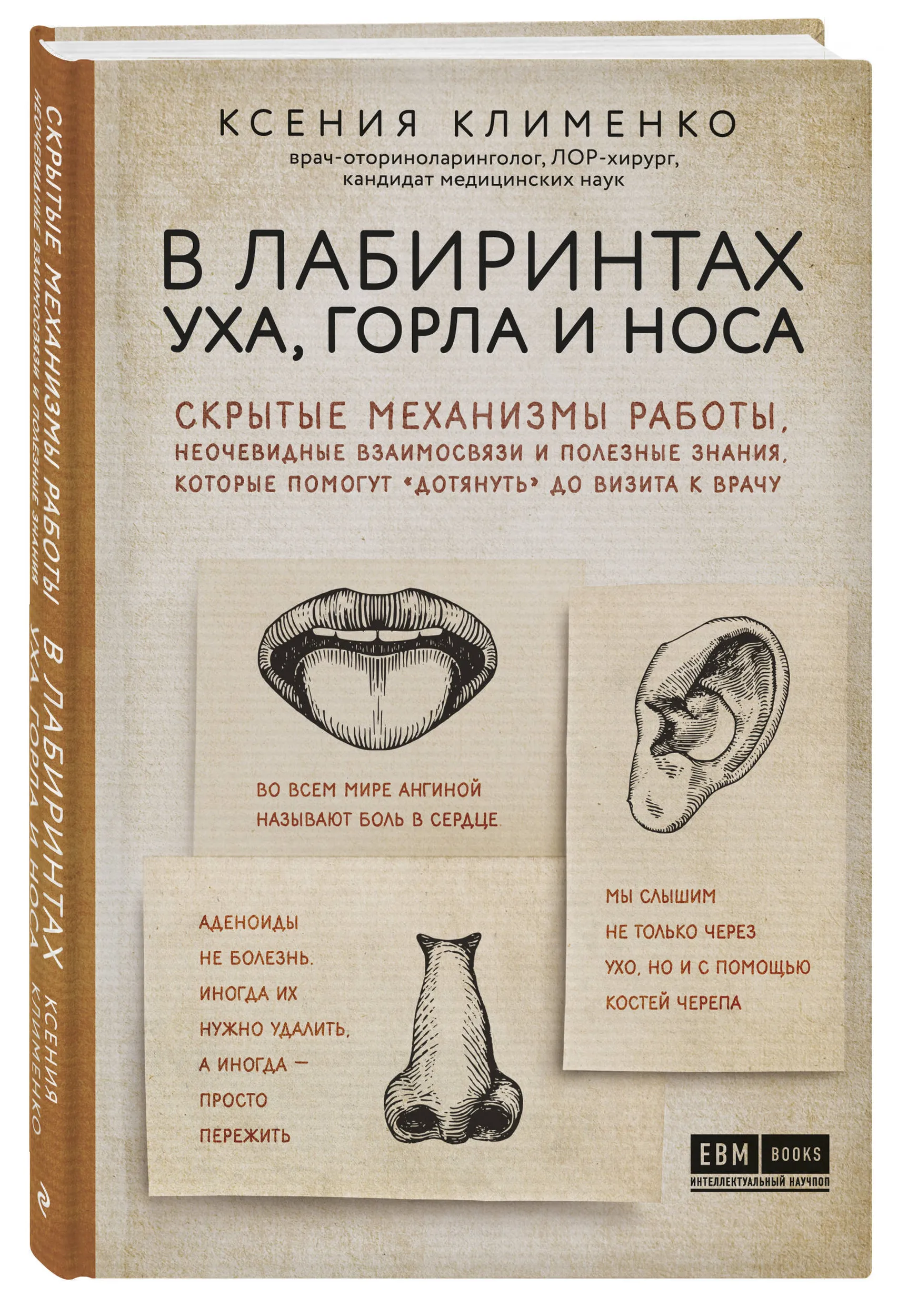 В лабиринтах уха, горла и носа. Скрытые механизмы работы, неочевидные взаимосвязи и полезные знания, которые помогут «дотянуть» до визита к врачу